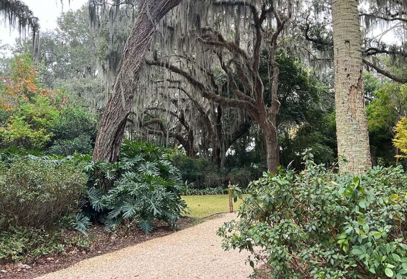 Contact Our Dentists in Savannah, GA Savannah Dental